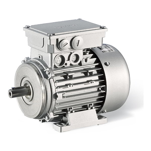 IE2 MH three-phase AC motors for mains operation